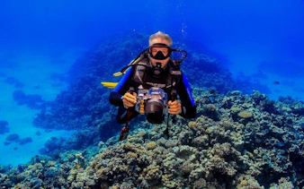 Diver exploring coral reef during Tiran Island snorkeling trip, Sharm El Sheikh.