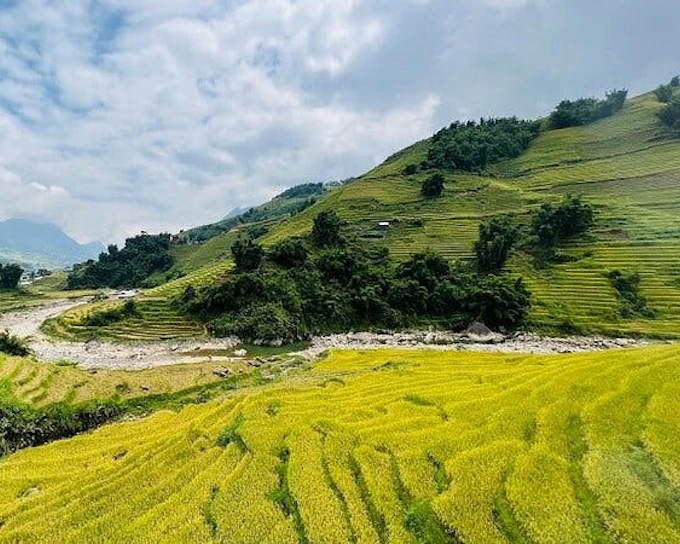 Sapa Guided Motorbike Village Tour with Local Rider, Cat Cat Village Entry, and Vietnamese Meal (Product 54204)
