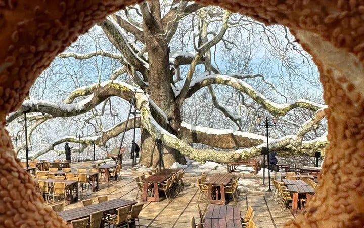 Bursa and Uludag Day Tour with Lunch, Cable Car Ride, and Hotel Transfers