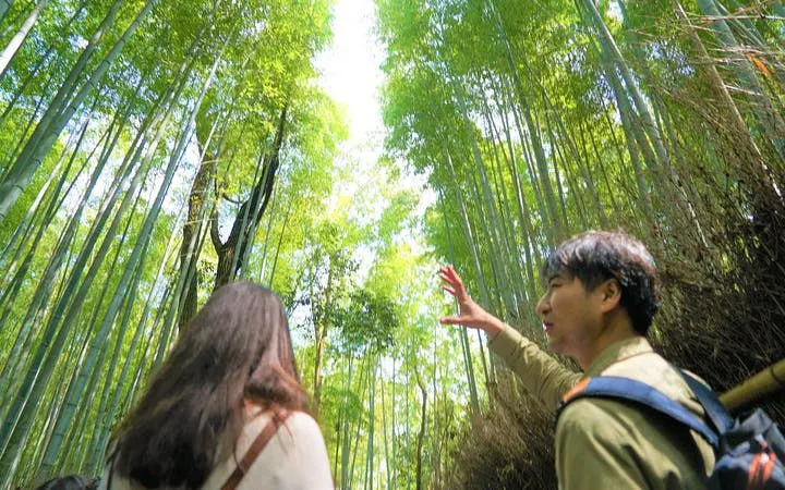 vandretur i bambusskogen og den skjulte hagen i arashiyama, kyoto-7