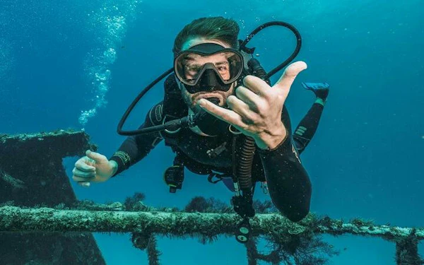Professional Dives Daily Trip with Transfer & Lunch - Hurghada