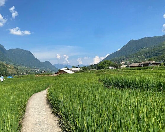 Sapa Private Trekking Tour on Y Linh Ho, Lao Chai, and Ta Van Trails with Local Guide, Lunch, and Return Transport (Product 54201)