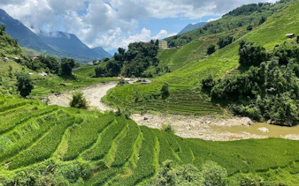 Terraced rice fields in Sapa, Vietnam, with mountains and a river in the background.