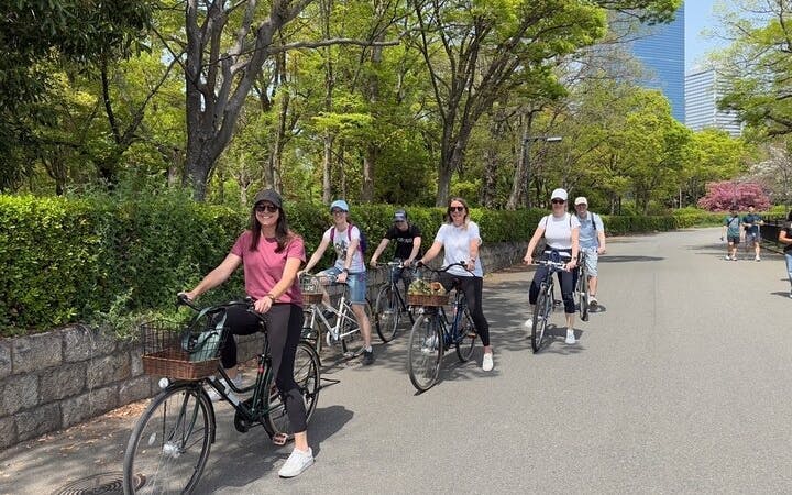 osaka small-group bike tour of cultural landmarks with lunch and tea break-3