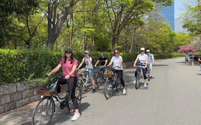 Osaka Small-Group Bike Tour of Cultural Landmarks with Lunch and Tea Break