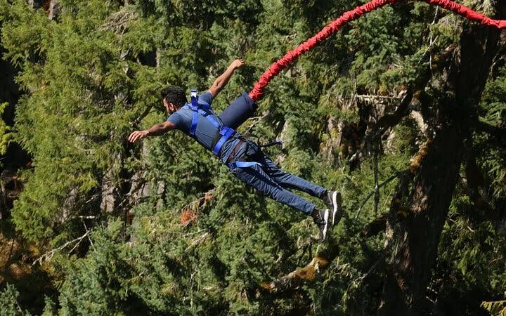 tour avventuroso lungo la garden route da città del capo: bungee jumping e immersione in gabbia tra gli squali con pernottamento-9