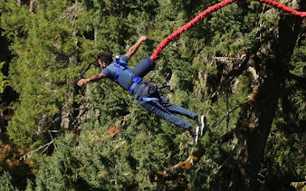 garden route adventure tour from cape town: bungee jump & shark cage diving with accommodation-9