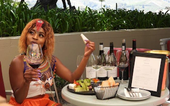 cape winelands wine tour with tastings, cheese pairing, lunch, and hotel pickup-3