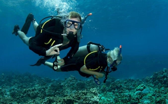 Snorkelers exploring coral reefs during Tiran Island sea trip, Sharm El Sheikh.