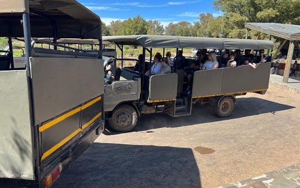 safári na reserva privada de aquila: passeio guiado em grupo reduzido para ver os “big 5”-4