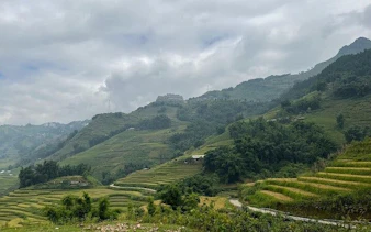 Terraced rice fields in Sapa with misty mountains, part of a guided motorbike tour to Cat Cat Village.
