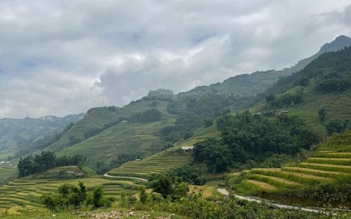 Terraced rice fields in Sapa with misty mountains, part of a guided motorbike tour to Cat Cat Village.