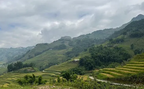 Terraced rice fields in Sapa with misty mountains, part of a guided motorbike tour to Cat Cat Village.