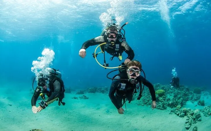 Scuba divers exploring coral reefs in Hurghada during a two-stop diving trip.