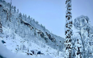 Korouoma Canyon covered in snow, showcasing frozen waterfalls and snowy trees, Rovaniemi.
