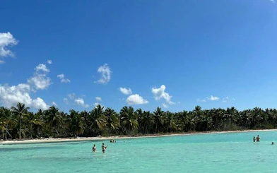 People swimming in clear turquoise water near palm-lined beach on Saona Island, Punta Cana.