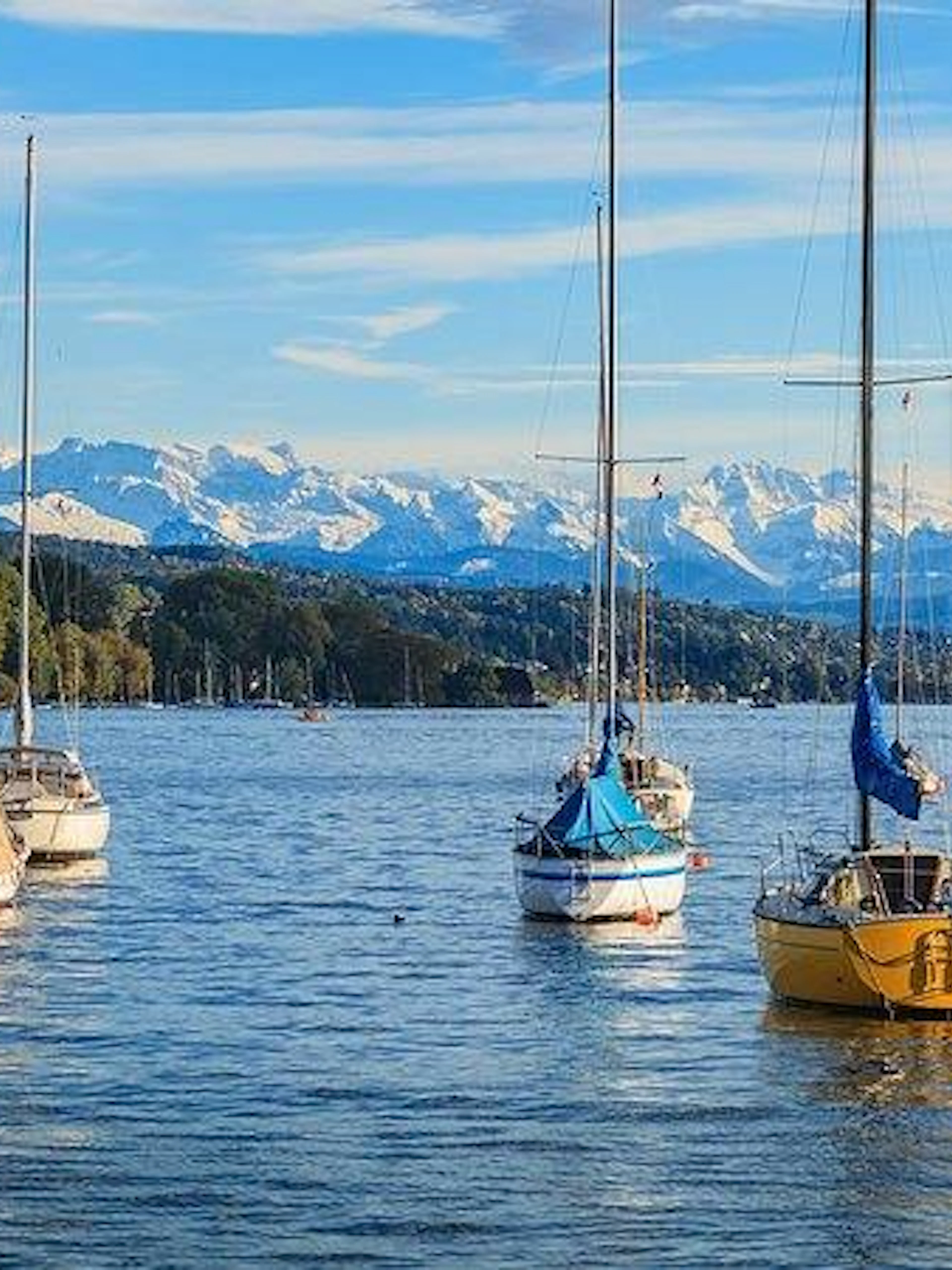Sailboats on Lake Zurich with Swiss Alps in the background during Zurich city tour.