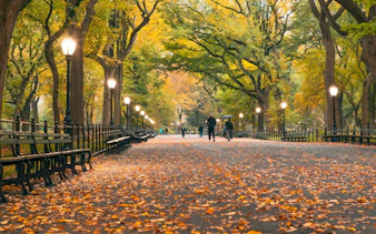 Central Park pathway with autumn leaves and people walking, New York.