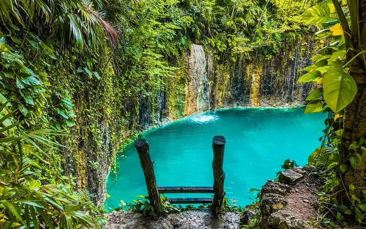 Cenote surrounded by lush jungle at ATIK Tulum Park, Mexico.