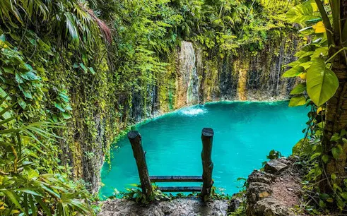 Cenote surrounded by lush jungle at ATIK Tulum Park, Mexico.