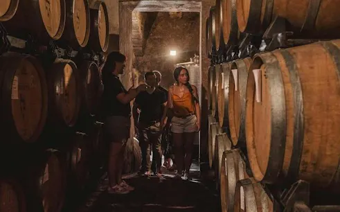 Visitors exploring wine cellar with barrels during Montalcino Castle tour and Brunello tasting.