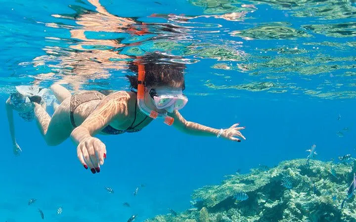 2 Hour Private Speedboat Ride Along the Coast - Sharm El Sheikh Image 10