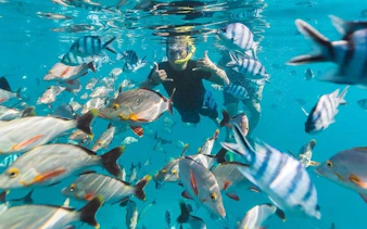 Scuba diver surrounded by colorful fish in Hurghada waters during a two-stop diving trip.