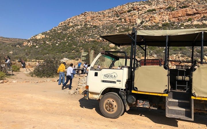aquila private game reserve: sunset safari game drive ticket-5