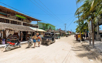 Holbox Island street with shops, tourists, and golf carts under palm trees.