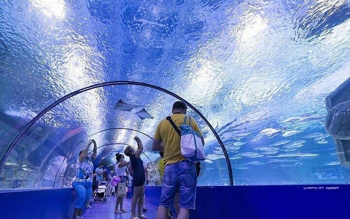 side aquarium and fun park tour all inclusive with hotel pickup-1