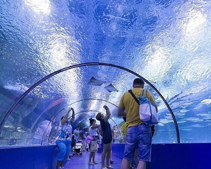 Side Aquarium and Fun Park Tour All Inclusive with Hotel Pickup