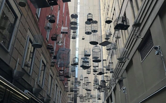 Hanging birdcages in Sydney alleyway for Ghosts of Sydney exploration game.