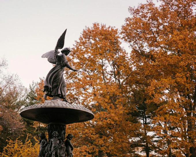 New York Central Park | Self-Guided Audio Walking Tour (Product 55420)