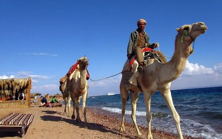 3 Pools Dahab Trip and Canyon By Bus & Camel Ride-Sharm El Sheikh Image 10
