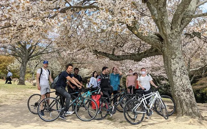 nara - privat tur på terrengsykkel, skjult tempel, natur, historiske steder og sport-7