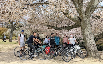nara - private cross bike tour, hidden temple, nature, ancient sites, and sport-7