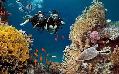 Antalya Scuba Diving & Snorkeling Tour with Lunch