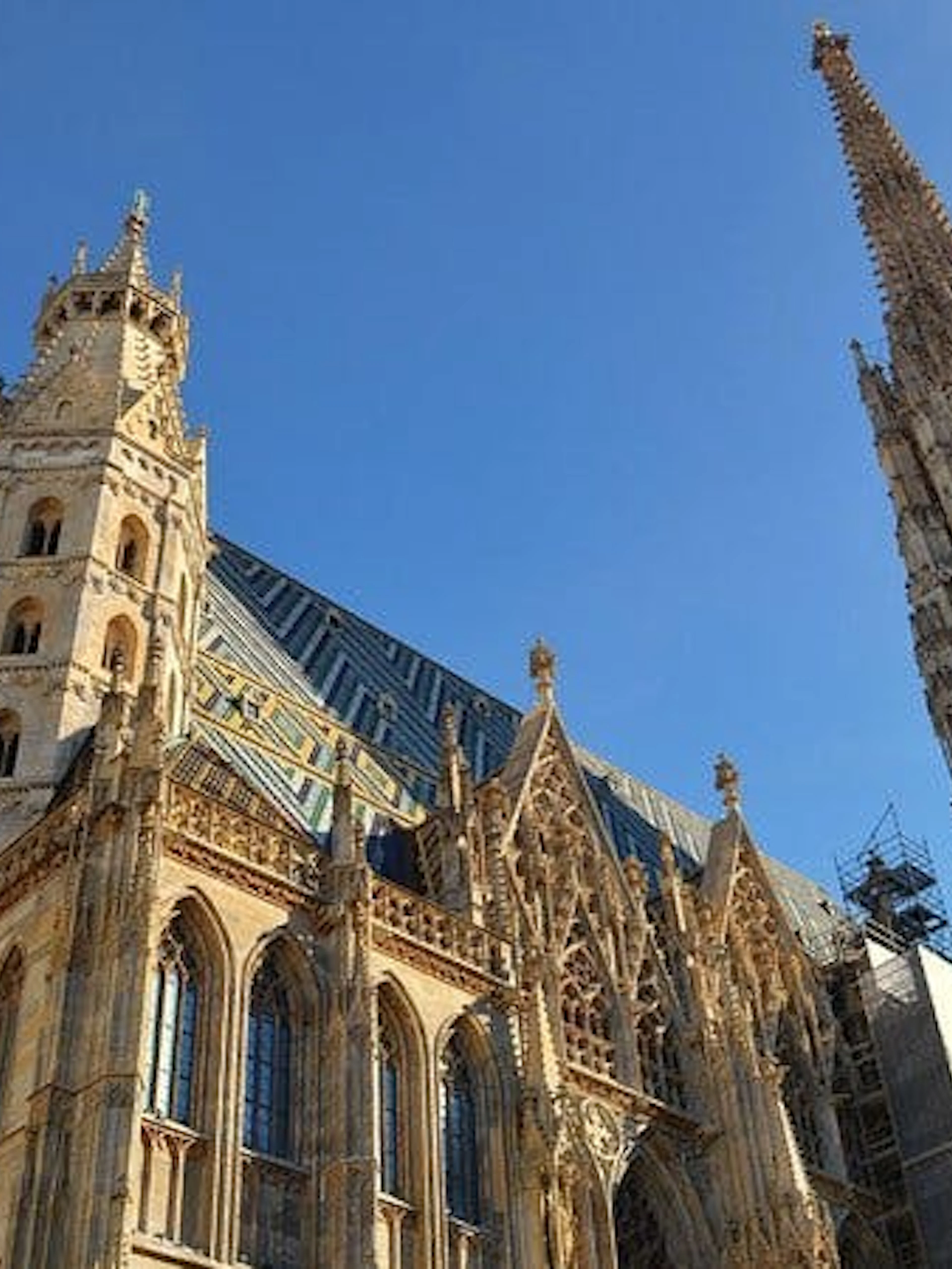 St. Stephen's Cathedral in Vienna, part of the self-guided city exploration game on the Great Plague.