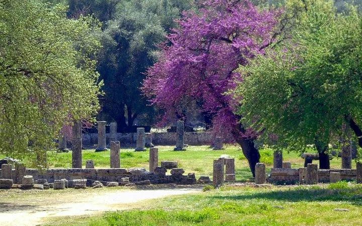 Ancient Olympia Private Guided Tour from Athens with Entrance Fees and Luxury Transport