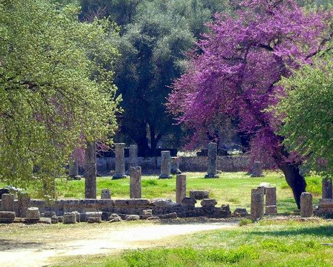 Ancient Olympia Private Guided Tour from Athens with Entrance Fees and Luxury Transport