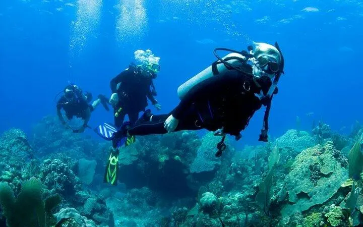 Divers exploring coral reefs at Tiran Island, Sharm el-Sheikh.