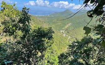 St. Maarten lush green hills with ocean view from highest point on guided hike.