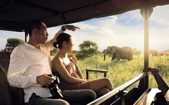 johannesburg'dan kruger ulusal parkı kara safari turu: gün batımı vahşi hayvan gözlem turu ve yemekler dahil-6