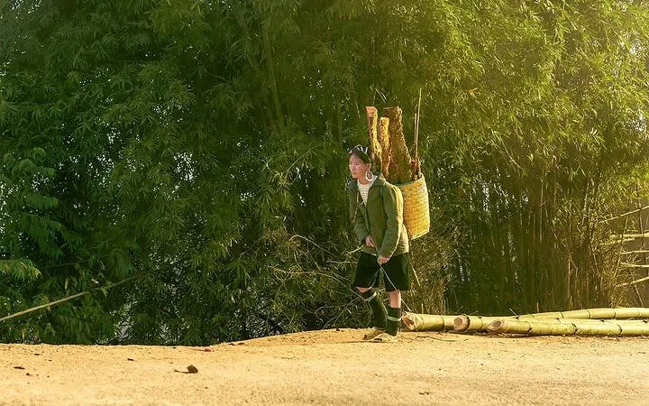 Local guide carrying basket on Sapa trail with bamboo forest backdrop.