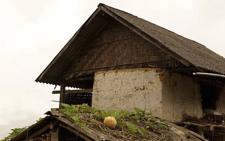 Traditional house in Sapa village with thatched roof and gourd plants, Vietnam.