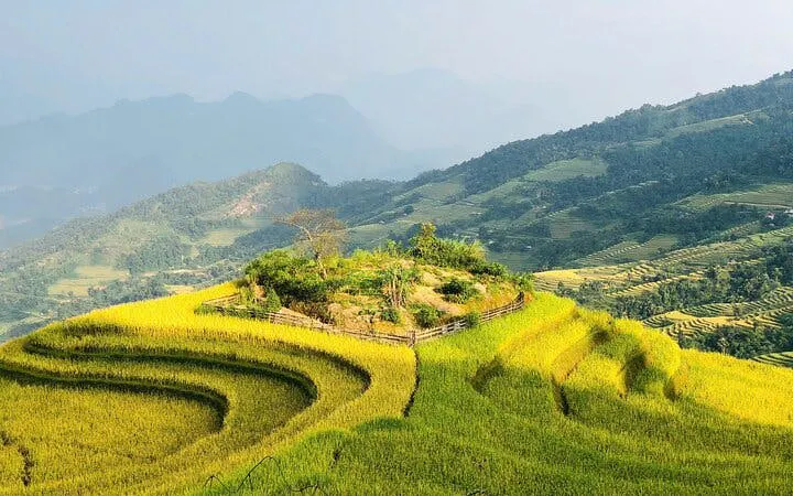 Terraced rice fields in Bac Ha, Vietnam, viewed during a motorbike tour from Sapa.