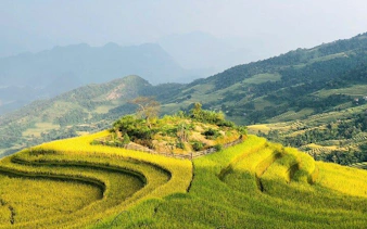 Terraced rice fields in Bac Ha, Vietnam, viewed during a motorbike tour from Sapa.