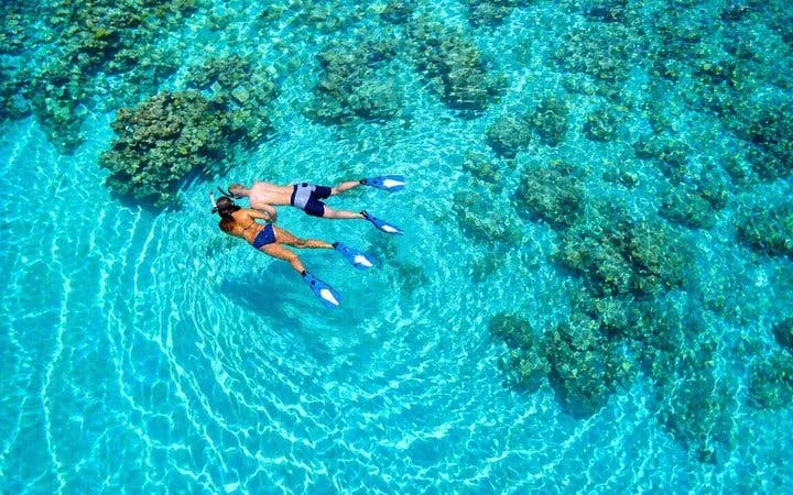 Snorkelers exploring coral reefs in clear waters at Tiran Island, Sharm El-Sheikh.
