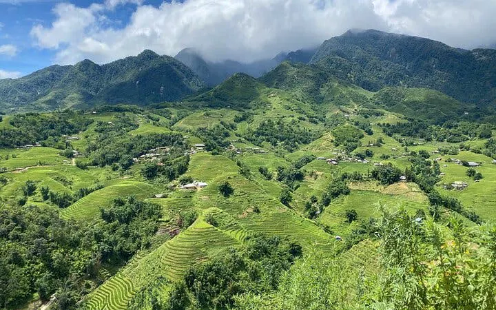 Sapa terraced rice fields with mountains, ideal for trekking and Dzay homestay experience.