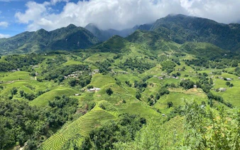 Sapa terraced rice fields with mountains, ideal for trekking and Dzay homestay experience.